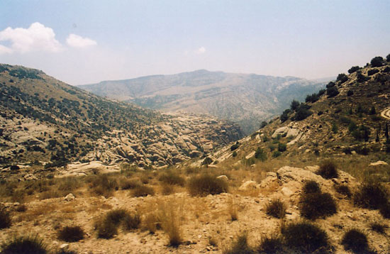 dana reserve